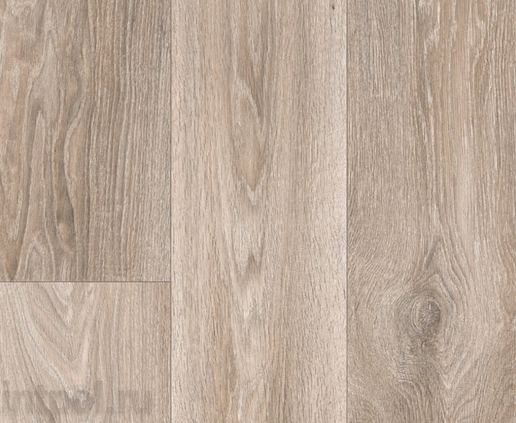 Линолеум Profi Master HAVANNA OAK 1