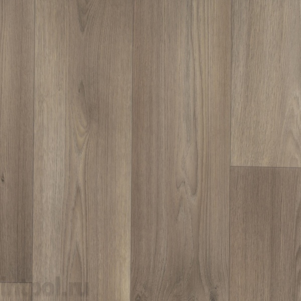 Линолеум Tarkett Galaxy Dallas 3