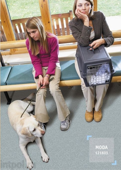 Линолеум Tarkett Moda 603