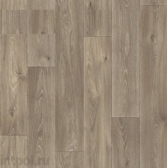 Линолеум Синтерос Комфорт  Spenser 5