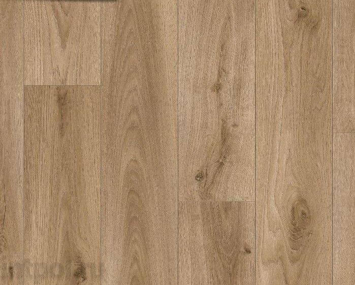 Синтерос Bonus Platon 4