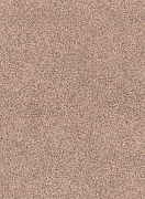 Линолеум Tarkett Sprint Pro Sahara 3