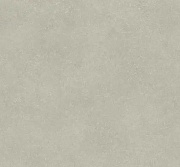 Линолеум Tarkett Acczent Nara 1