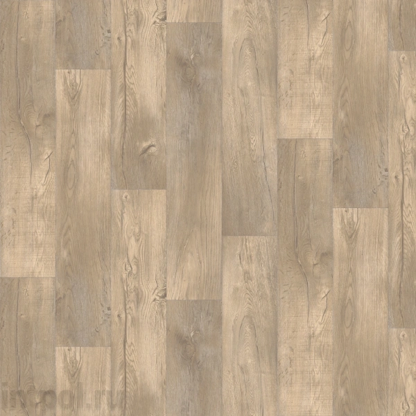 Линолеум Tarkett Фаворит RELICT 2*