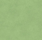 Линолеум Tarkett Acczent Nara 6