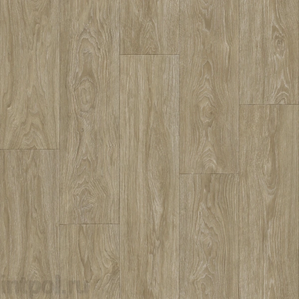 Линолеум Tarkett Club MAXIMUS 2