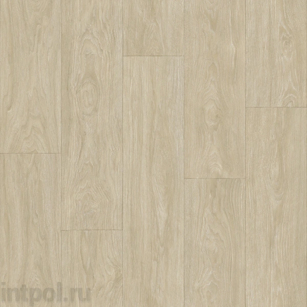 Линолеум Tarkett Club MAXIMUS 1