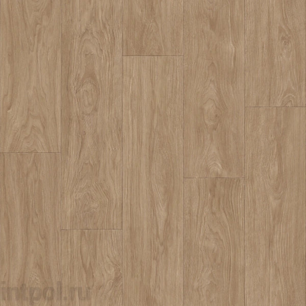 Линолеум Tarkett Фаворит TALBOT 3*