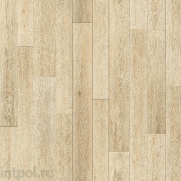 Линолеум Синтерос Bonus Duncan 1