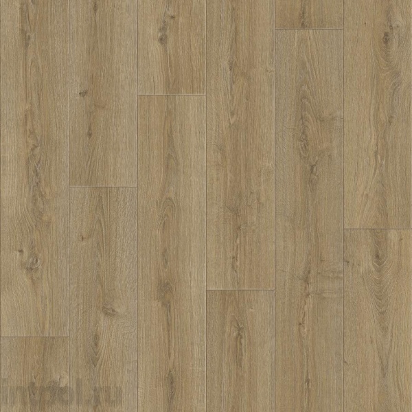 Линолеум Sinteros Praktika Bruno 2