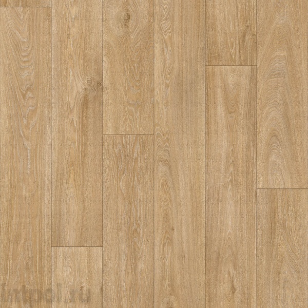 Линолеум Profi Master HAVANNA OAK 10