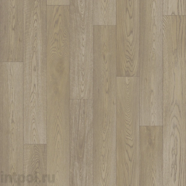 Линолеум Tarkett Gladiator CALVADOS 1*