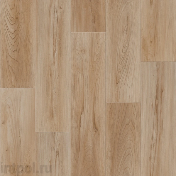 Линолеум Tarkett Club BRIDE 1*