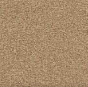 Линолеум Profi Premium NEVADA 1