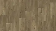 Линолеум Tarkett Фаворит Danmor 5