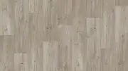 Линолеум Tarkett Фаворит Danmor 3