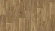 Линолеум Tarkett Фаворит Danmor 4